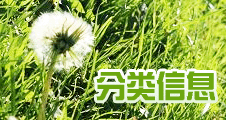 (li)Ϣ