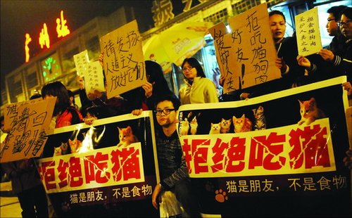 我國(guó)擬規(guī)定食用貓肉狗肉罰款5000元拘留15天